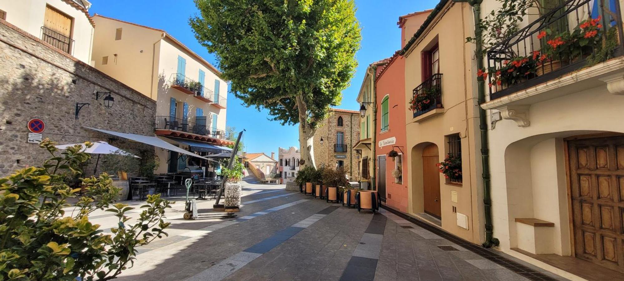 Chambre Climatisee Entre Mer Et Montagne, Avec Sdb Et Wc Privatifs Laroque-des-Albères Kültér fotó